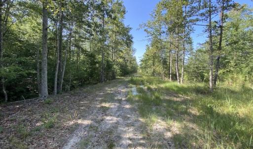 Photo #13 of SOLD property in Off Dutch Road, Holland, VA 103.0 acres