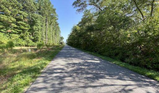 Photo #12 of SOLD property in Off Dutch Road, Holland, VA 103.0 acres
