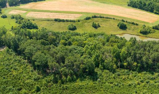 Photo #10 of SOLD property in Adkins Lane, Gretna, VA 4.0 acres