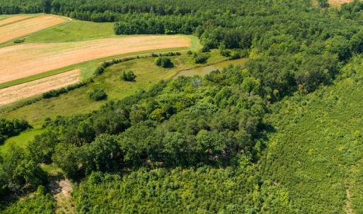 Photo #11 of SOLD property in Adkins Lane, Gretna, VA 4.0 acres