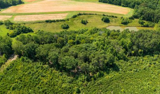 Photo #12 of SOLD property in Adkins Lane, Gretna, VA 4.0 acres