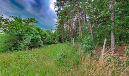 Photo #13 of SOLD property in Adkins Lane, Gretna, VA 4.0 acres