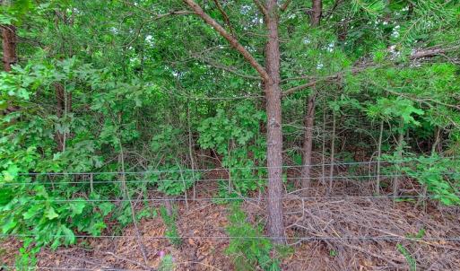 Photo #15 of SOLD property in Adkins Lane, Gretna, VA 4.0 acres