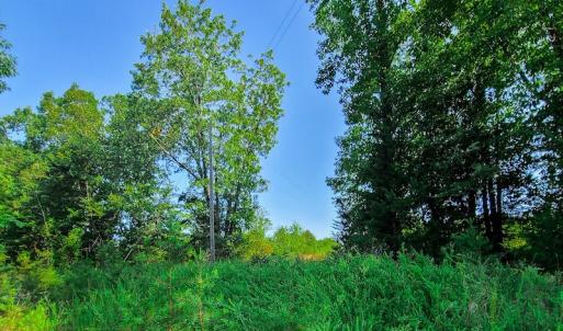 Photo #16 of SOLD property in Adkins Lane, Gretna, VA 4.0 acres