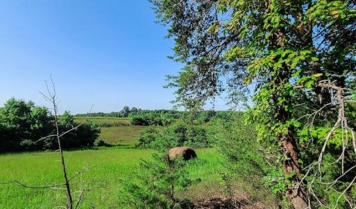 Photo #17 of SOLD property in Adkins Lane, Gretna, VA 4.0 acres