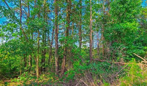 Photo #19 of SOLD property in Adkins Lane, Gretna, VA 4.0 acres