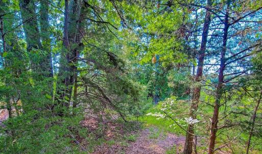 Photo #20 of SOLD property in Adkins Lane, Gretna, VA 4.0 acres
