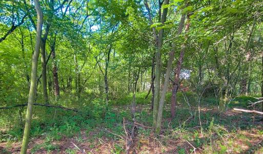 Photo #23 of SOLD property in Adkins Lane, Gretna, VA 4.0 acres
