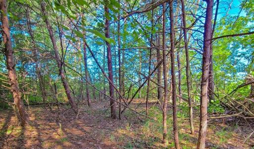 Photo #24 of SOLD property in Adkins Lane, Gretna, VA 4.0 acres