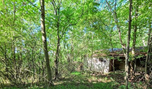 Photo #27 of SOLD property in Adkins Lane, Gretna, VA 4.0 acres