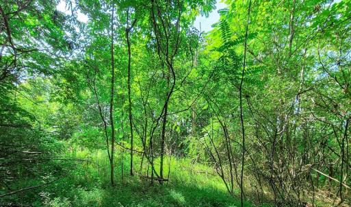 Photo #28 of SOLD property in Adkins Lane, Gretna, VA 4.0 acres