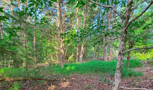 Photo #29 of SOLD property in Adkins Lane, Gretna, VA 4.0 acres