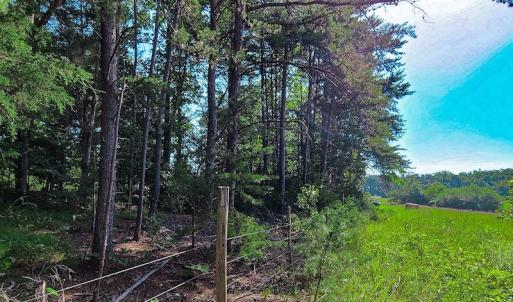 Photo #30 of SOLD property in Adkins Lane, Gretna, VA 4.0 acres