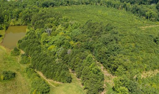 Photo #5 of SOLD property in Adkins Lane, Gretna, VA 4.0 acres