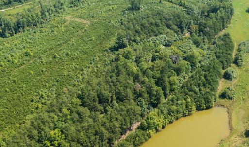 Photo #7 of SOLD property in Adkins Lane, Gretna, VA 4.0 acres