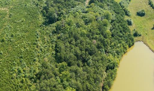 Photo #8 of SOLD property in Adkins Lane, Gretna, VA 4.0 acres