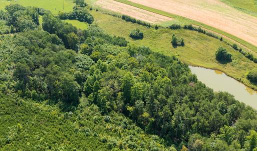 Photo #9 of SOLD property in Adkins Lane, Gretna, VA 4.0 acres
