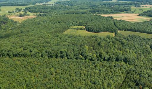 Photo #8 of SOLD property in Adkins Lane, Gretna, VA 13.0 acres