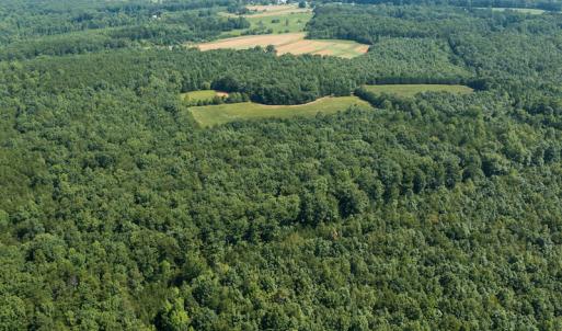 Photo #9 of SOLD property in Adkins Lane, Gretna, VA 13.0 acres