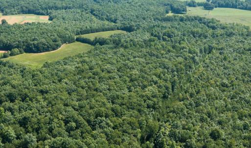 Photo #10 of SOLD property in Adkins Lane, Gretna, VA 13.0 acres