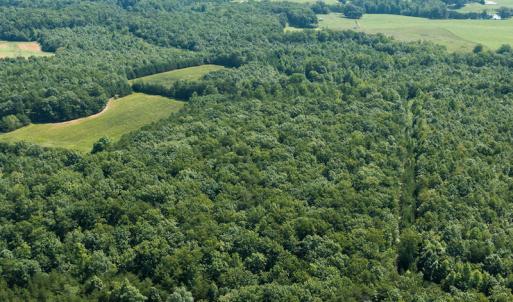 Photo #11 of SOLD property in Adkins Lane, Gretna, VA 13.0 acres