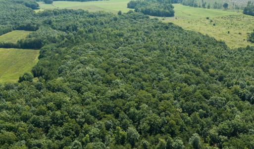 Photo #12 of SOLD property in Adkins Lane, Gretna, VA 13.0 acres
