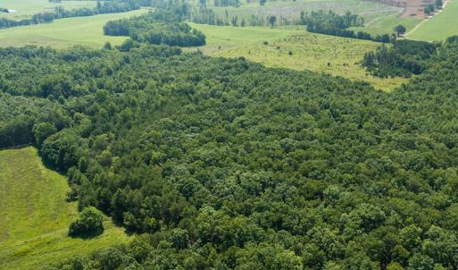 Photo #13 of SOLD property in Adkins Lane, Gretna, VA 13.0 acres
