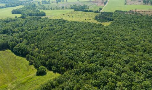 Photo #14 of SOLD property in Adkins Lane, Gretna, VA 13.0 acres
