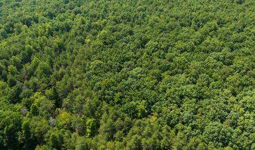 Photo #15 of SOLD property in Adkins Lane, Gretna, VA 13.0 acres