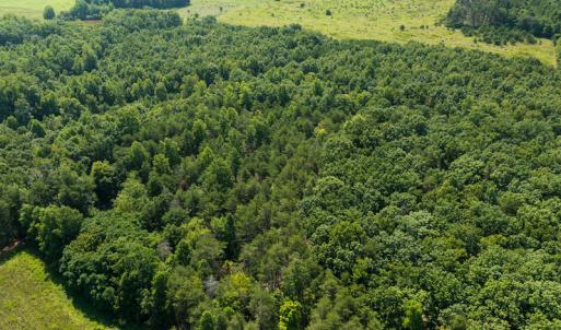Photo #16 of SOLD property in Adkins Lane, Gretna, VA 13.0 acres
