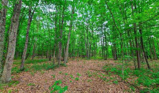 Photo #17 of SOLD property in Adkins Lane, Gretna, VA 13.0 acres