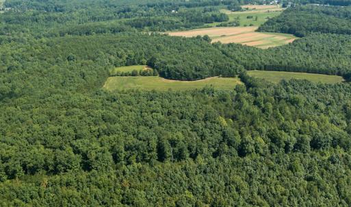 Photo #1 of SOLD property in Adkins Lane, Gretna, VA 13.0 acres