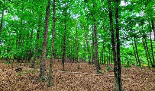 Photo #18 of SOLD property in Adkins Lane, Gretna, VA 13.0 acres