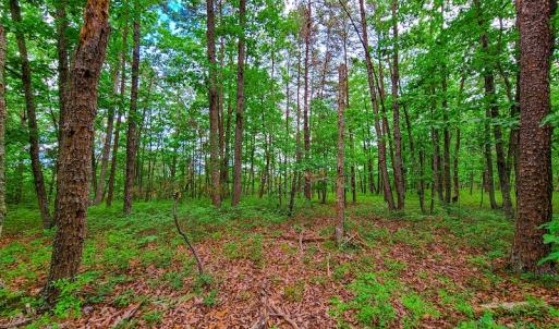 Photo #20 of SOLD property in Adkins Lane, Gretna, VA 13.0 acres