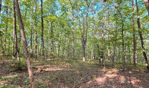 Photo #24 of SOLD property in Adkins Lane, Gretna, VA 13.0 acres