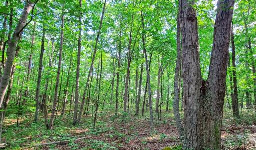 Photo #25 of SOLD property in Adkins Lane, Gretna, VA 13.0 acres