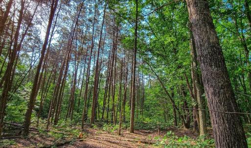 Photo #26 of SOLD property in Adkins Lane, Gretna, VA 13.0 acres