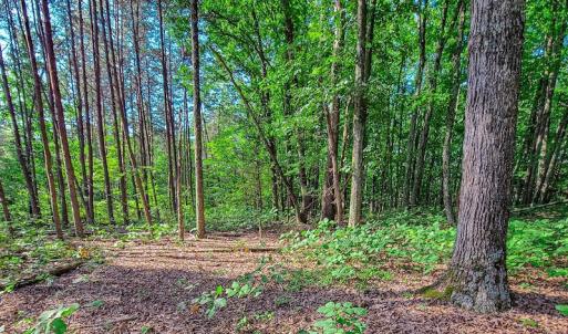Photo #27 of SOLD property in Adkins Lane, Gretna, VA 13.0 acres