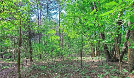 Photo #29 of SOLD property in Adkins Lane, Gretna, VA 13.0 acres