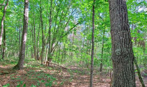Photo #30 of SOLD property in Adkins Lane, Gretna, VA 13.0 acres