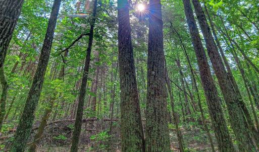 Photo #31 of SOLD property in Adkins Lane, Gretna, VA 13.0 acres