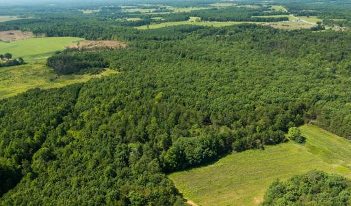 Photo #3 of SOLD property in Adkins Lane, Gretna, VA 13.0 acres