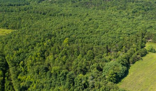 Photo #4 of SOLD property in Adkins Lane, Gretna, VA 13.0 acres