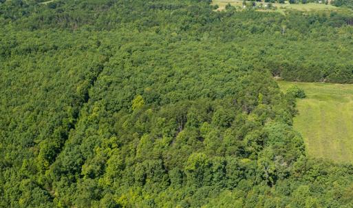Photo #5 of SOLD property in Adkins Lane, Gretna, VA 13.0 acres
