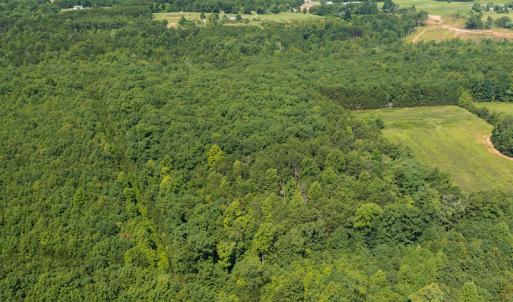 Photo #6 of SOLD property in Adkins Lane, Gretna, VA 13.0 acres