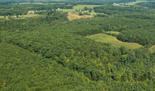 Photo #7 of SOLD property in Adkins Lane, Gretna, VA 13.0 acres