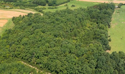 Photo #9 of SOLD property in Adkins Lane, Gretna, VA 13.7 acres