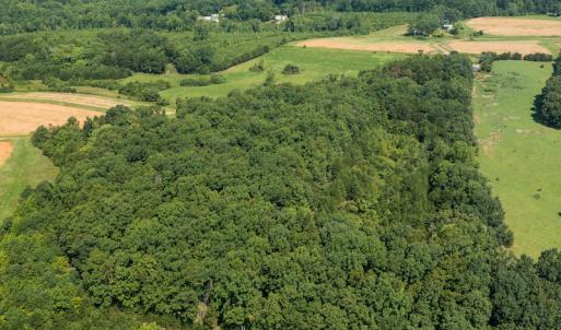 Photo #10 of SOLD property in Adkins Lane, Gretna, VA 13.7 acres