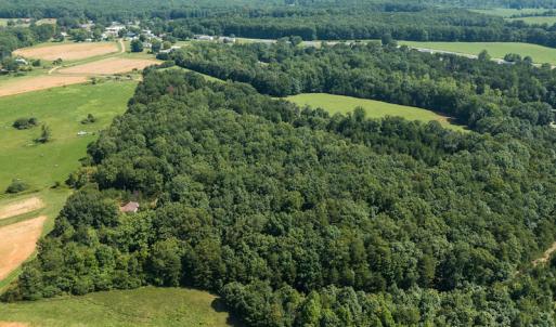 Photo #11 of SOLD property in Adkins Lane, Gretna, VA 13.7 acres
