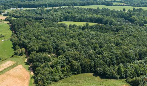 Photo #12 of SOLD property in Adkins Lane, Gretna, VA 13.7 acres